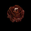Sexy Low Temperature Candles Gilding 40 Degrees Peony Rose - Image 7