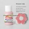 Medium Temperature Ceramic Paints Bottled 80g - Image 3